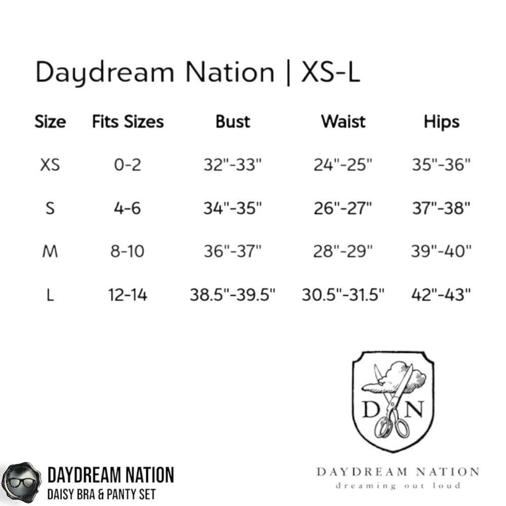 DAYDREAM NATION DAISY BRA & PANTY SET IN BLACK SHEER MESH LINGERIE SIZE MEDIUM - Picture 12 of 13